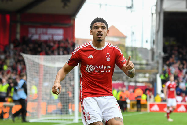 安切洛蒂的 安切洛蒂的